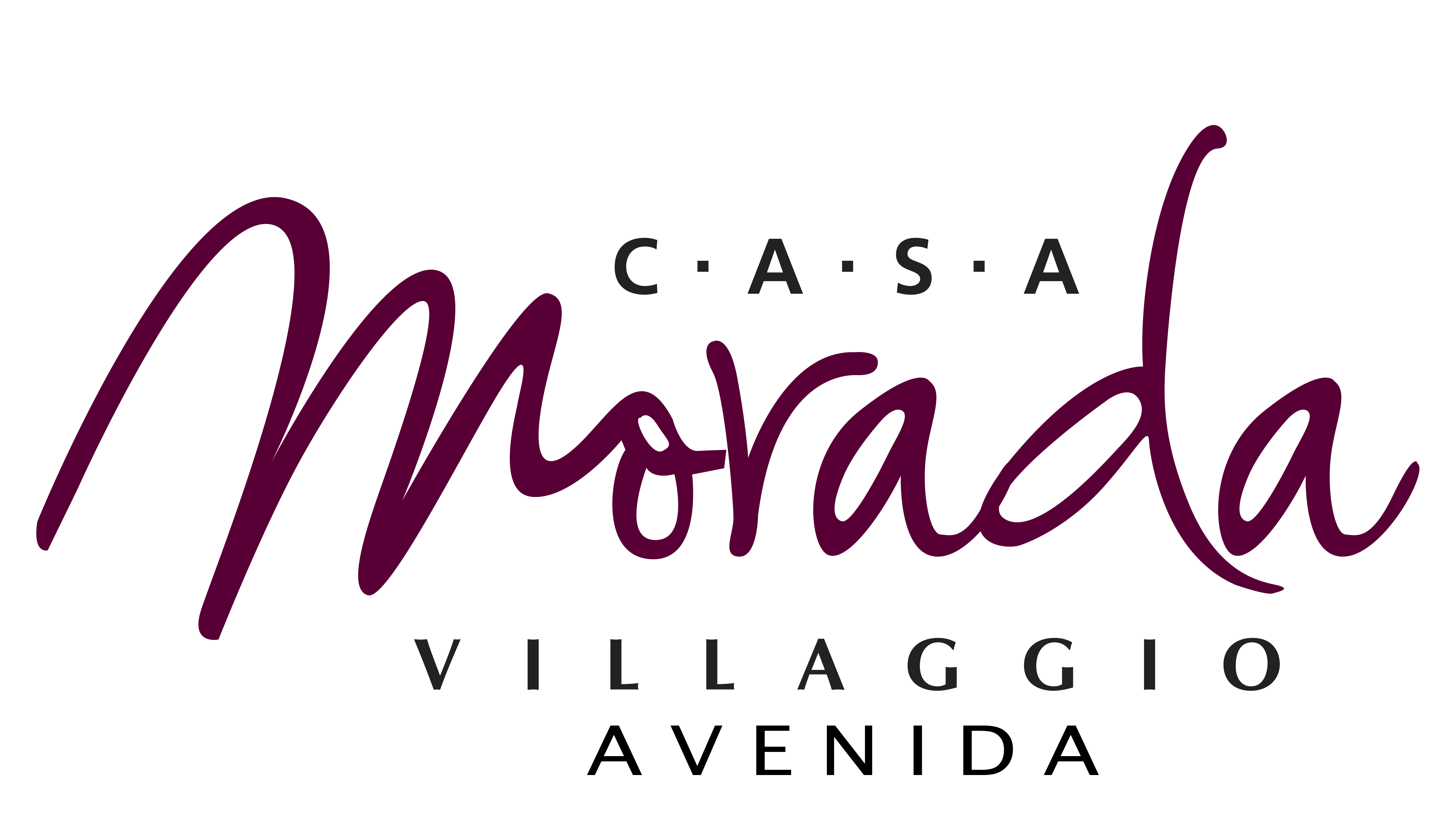 Logo Villaggio Avenida