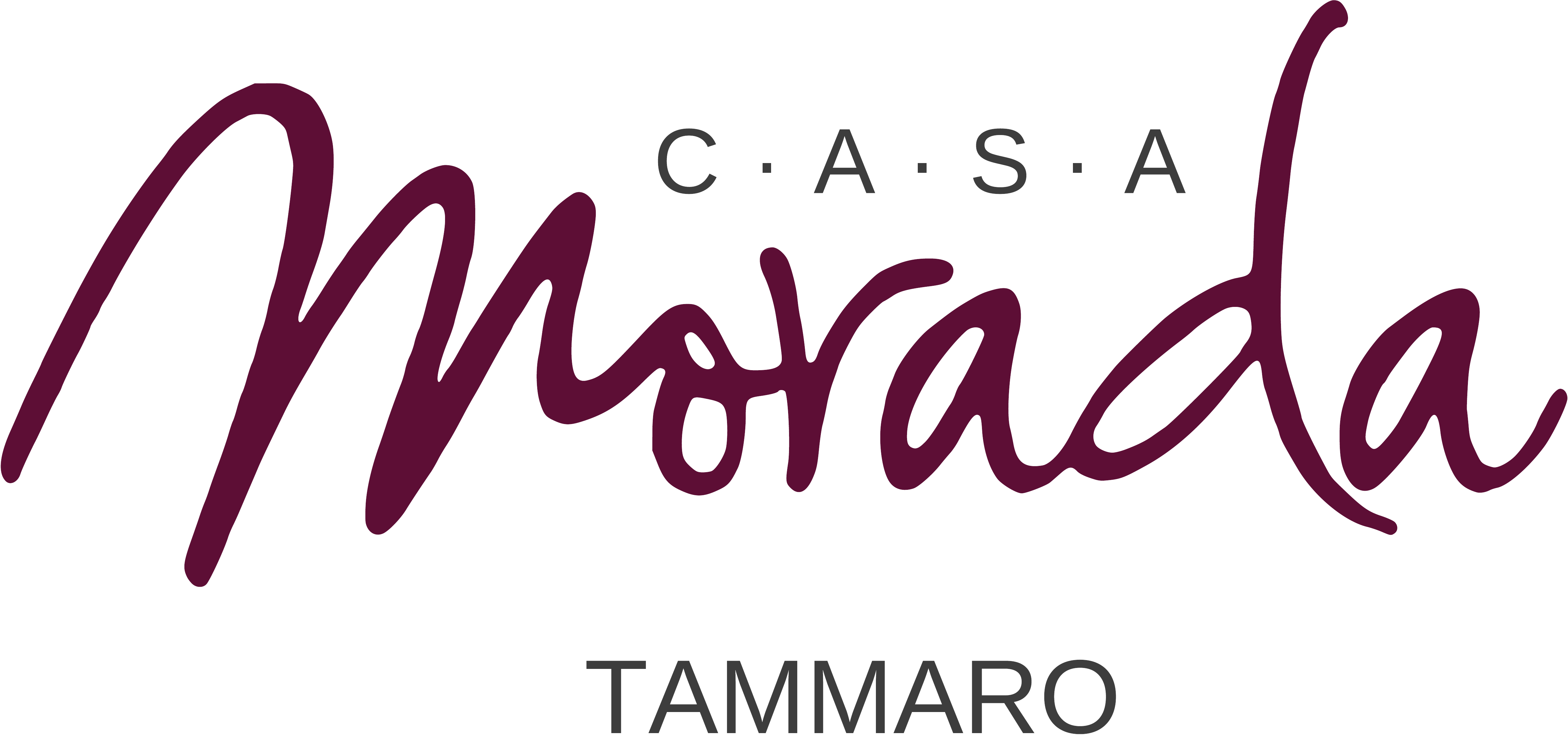 Logo Casa Morada Támaro